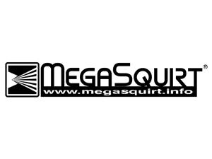 MegaSquirt Plug-N-Play Engine Management
